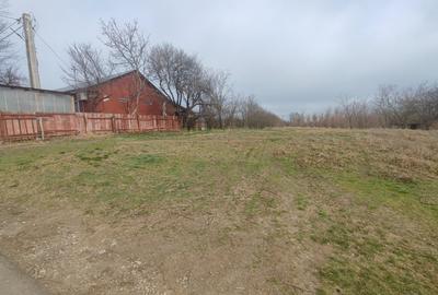 Teren intravilan Valcelele Jud Calarasi - 7