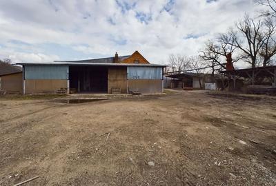 Fabrica prelucrare lemn de vanzare – Lipova, Arad - 7