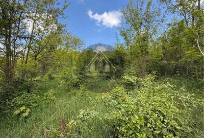 Teren intravilan, Medias - 1