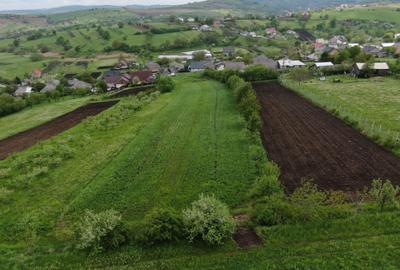 Teren de 5000 mp, în Valea Arini - 5