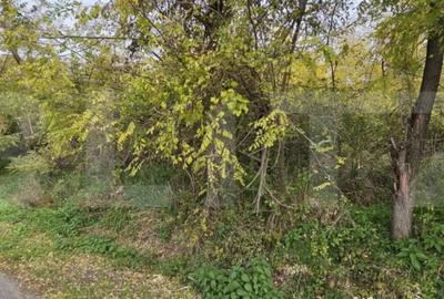 Teren de 1950 mp, în Gorgota - 3