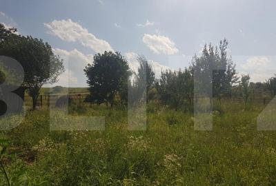 Teren de 11600 mp, în Apahida