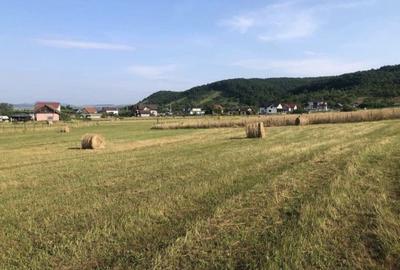 Teren de 1000 mp, în Coldău