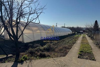 Teren intravilan vanzare - 2.750 mp – Darvari/Tamadalu Mare (judetul Calarasi) - 2