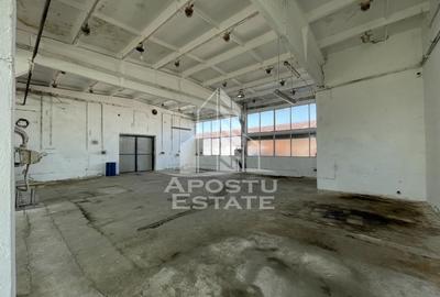 Hala depozitare sau productie, 470 mp, Zona Buziasului - 3