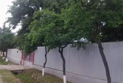 Casă cu 4 camere cu Teren 800 Mp în Panciu - 2