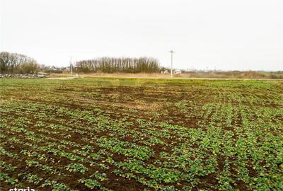 Spațiu comercial, în Roit - 9