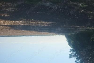 Teren de 250000 mp, în Comana - 7