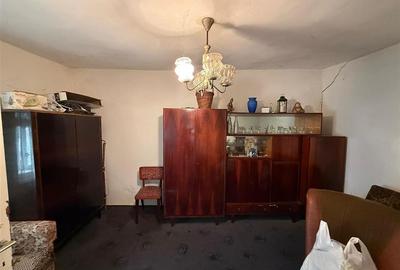 Casă individuală cu 5 camere cu Teren 1518 Mp în Cheresig - 16