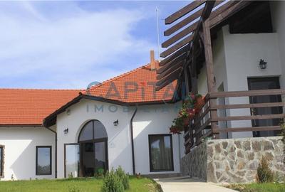 Pensiune turistica in apropiere de muntii Mehedinti - 3