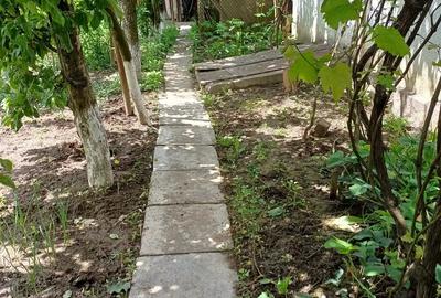 Casa de vanzare Turda Casa de vanzare Turda - 5