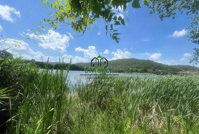 Teren de 3200 mp, în Dăești - 2