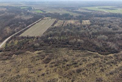 Teren agricol extravilan de 952372 mp, în Constantin Daicoviciu - 11