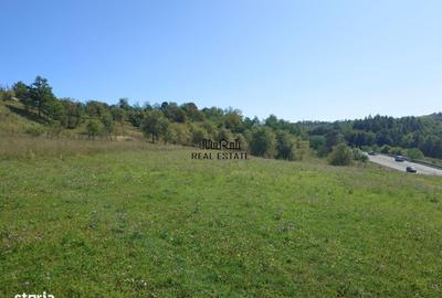 Spațiu comercial, în Luncoiu de Sus - 14