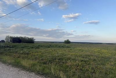 Spațiu comercial, în Păușa - 14