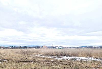 Spațiu comercial, în Hărman