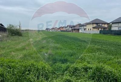 Teren intravilan de 3.168 mp, Cosoba, Giurgiu - 2