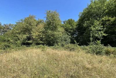 Teren Extravilan in mijlocul naturii. - 1