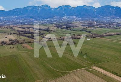 Teren de 8557 mp, în Plaiul Foii - 7