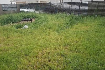 Teren de 300 mp, în Berceni - 2