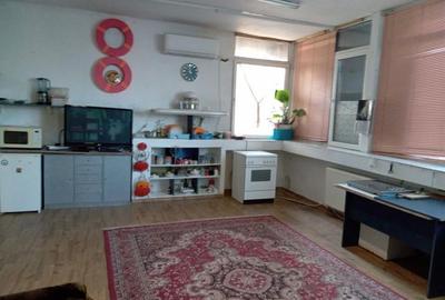 Vanzare vila zona Eminescu - Vasile Lascar | compusa din 3 apartamente  | - 7