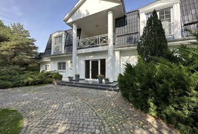 Vila individuala, teren 3000 mp, Iancu Nicolae - 4