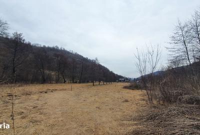 Teren de 2800 mp, în Sovata - 15