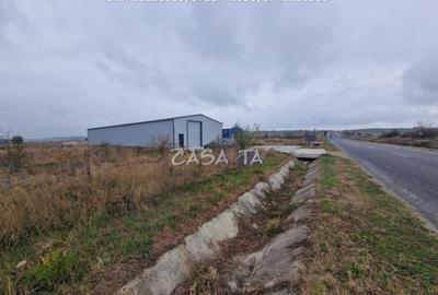 Teren de 1200 mp, în Primăverii