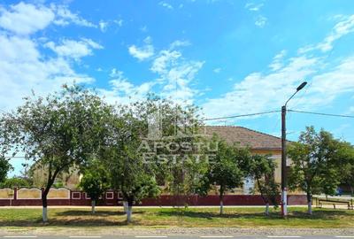 Casa 6 camere, Sandra, Teren 2217 mp - 3