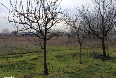 Teren de 4625 mp, în Cataloi - 6