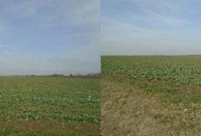 Teren de 6950 mp, în Tudor Vladimirescu - 2