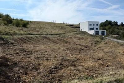 Vand teren intravilan zona 700 - 1