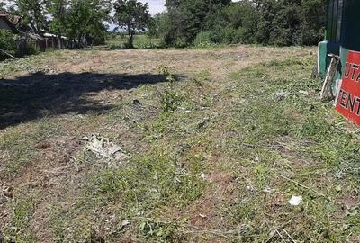 Casă cu 1 camere în Central - 4