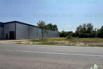 Spațiu comercial, de 435 mp, în Ulmi - 17