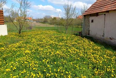 Proprietar vind 1/2duplex în Pischia - 1