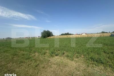 Teren de 1300 mp, în Central
