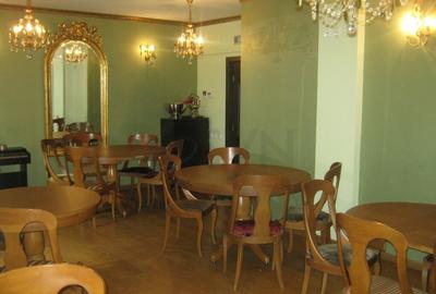 Vila renovata - zona Cismigiu - 4