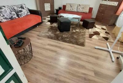 Vand casa taraneasca la 26 de km de Oradea - 10