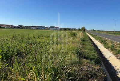 Teren 2500mp Sura Mica - Ocna Sibiului | 162.500 EUR - EXCLUSIVITATE - 5