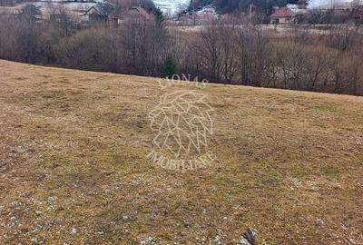 Spațiu comercial, în Vișagu - 5