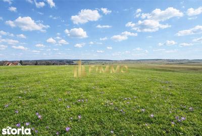 Teren de 3200 mp, în Mitocu Dragomirnei - 1