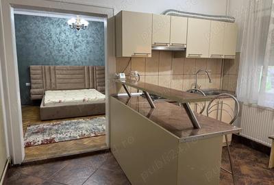 Inchiriere casa 2 camere cu curte - 5