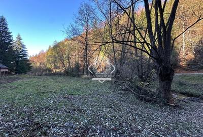 Teren 2.882 mp – oportunitate investitie - Cheile Dâmbovicioarei - 10