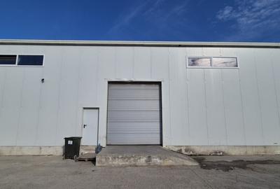 Hale | Afumati DN2 | 1000mp - 6