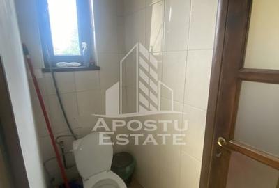 Casa în Dumbrăvița cu teren de 3039 mp și Front Stradal de 40 ml - 2