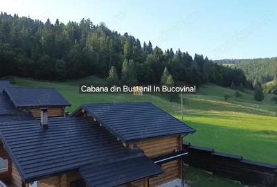 Cabana din Busteni in Bucovina! De Vanzare! 0727817187 - 7
