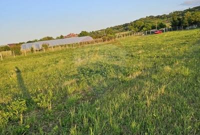 Teren Construcții intravilan de 1495 mp, în Dobreni - 31