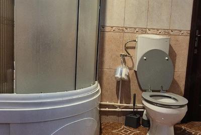 Casă cu Teren 1100 Mp în Roșioru - 9