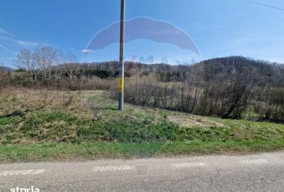Teren de 9428 mp, în Mărgineni - 6