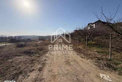 Teren de 5600 mp, în Cetate - 4